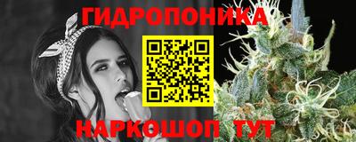 марки lsd Гусиноозёрск