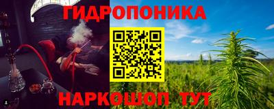 мдпв Гусев