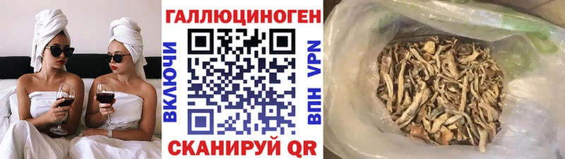 darknet как зайти  купить наркоту  Сухой Лог  Галлюциногенные грибы прущие грибы 