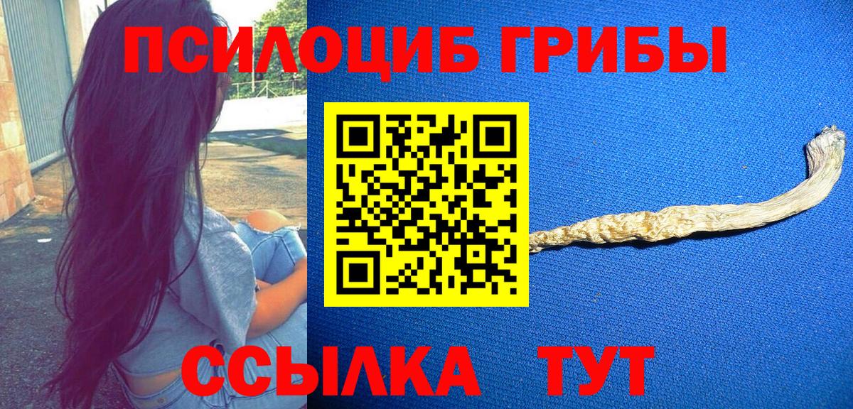 Сухой Лог  где купить наркоту  Вход с VPN  Галлюциногенные грибы прущие грибы 