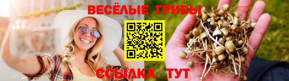 Галлюциногенные грибы GOLDEN TEACHER Сухой Лог