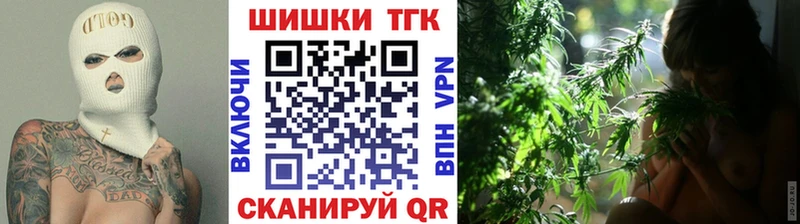 где продают наркотики  Сухой Лог  Бошки марихуана OG Kush 